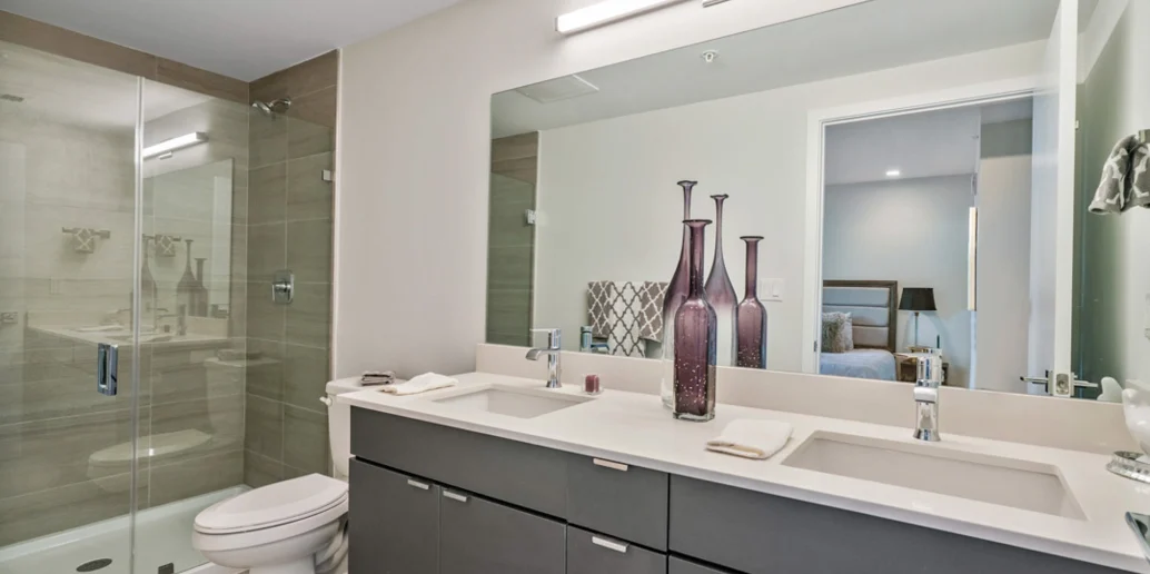 Defined-Com-Lineo-PalmAire-2