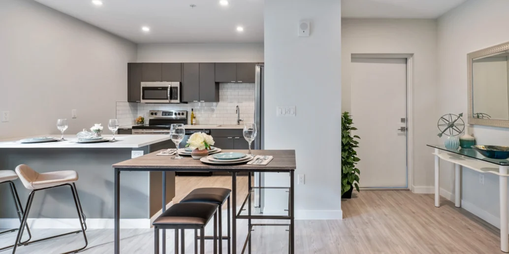 Defined-Com-Lineo-PalmAire-7